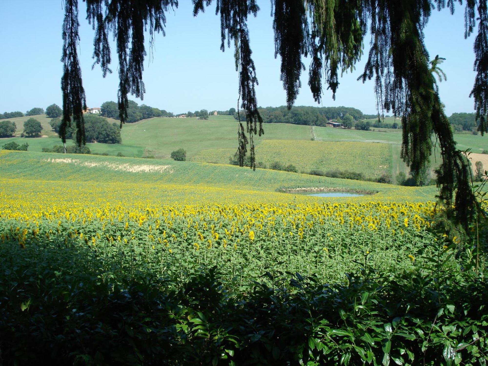 מלון Saint-Blancard Relais Du Chateau מראה חיצוני תמונה