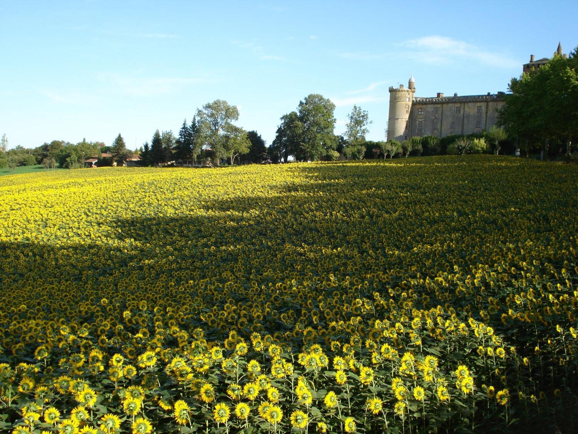 מלון Saint-Blancard Relais Du Chateau מראה חיצוני תמונה